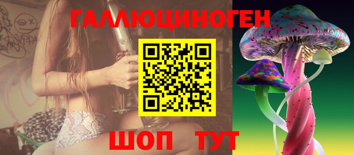 Псилоцибиновые грибы Psilocybine cubensis Муром